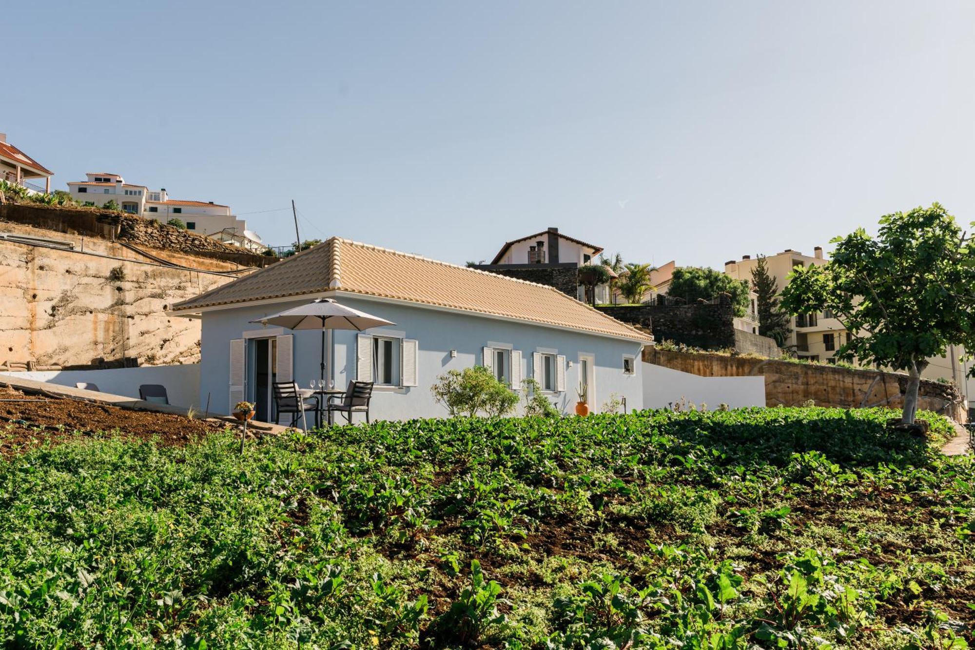Casa Ti'Rosa Villa Caniço Dış mekan fotoğraf