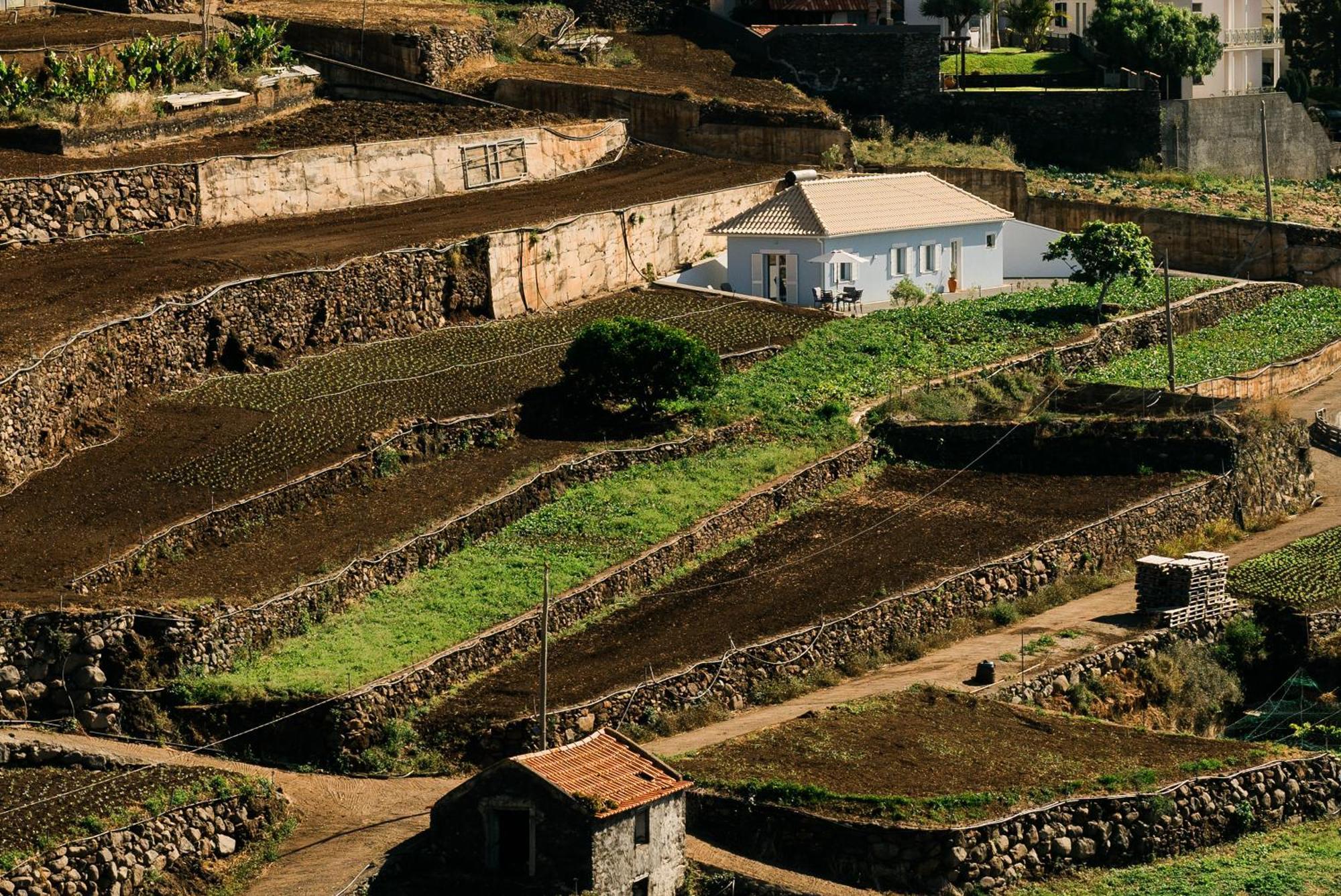 Casa Ti'Rosa Villa Caniço Dış mekan fotoğraf